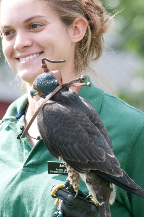 Animal Behavior and Conservation Connections Oct 2011-3