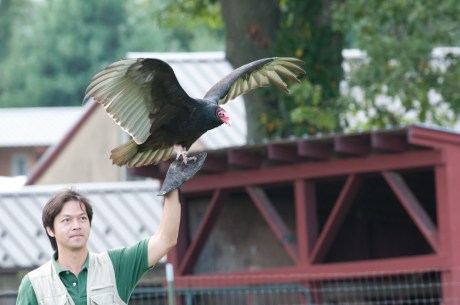 Animal Behavior and Conservation Connections Oct 2011-5