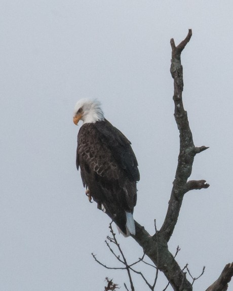 I'm looking over ...