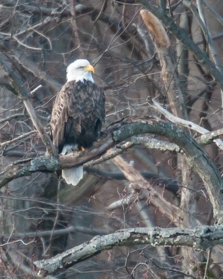 The would not be complete without seeing My Gal