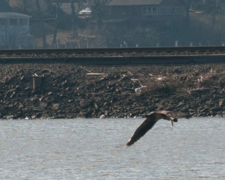 Dozen a day Mar 2013-2