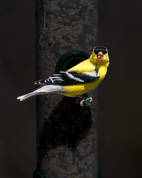 Croton Nature Center 4-13-5