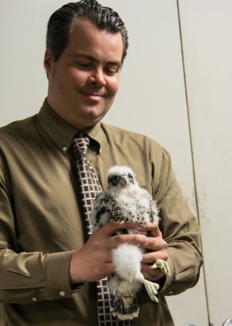 Jersey City Banding 2013-2