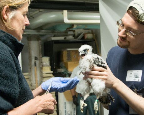 Jersey City Banding 2013-3