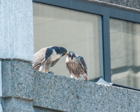 Another from Thursday, June 20