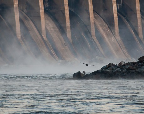 Conowingo Eagles Oct 2013-4