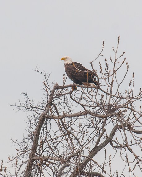 My Gal again at Croton Train Station Boat Ramp
