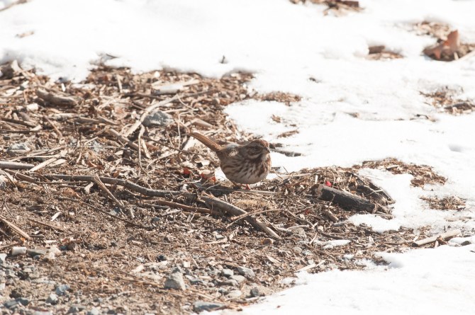 Boat Ramp Croton 2014-2
