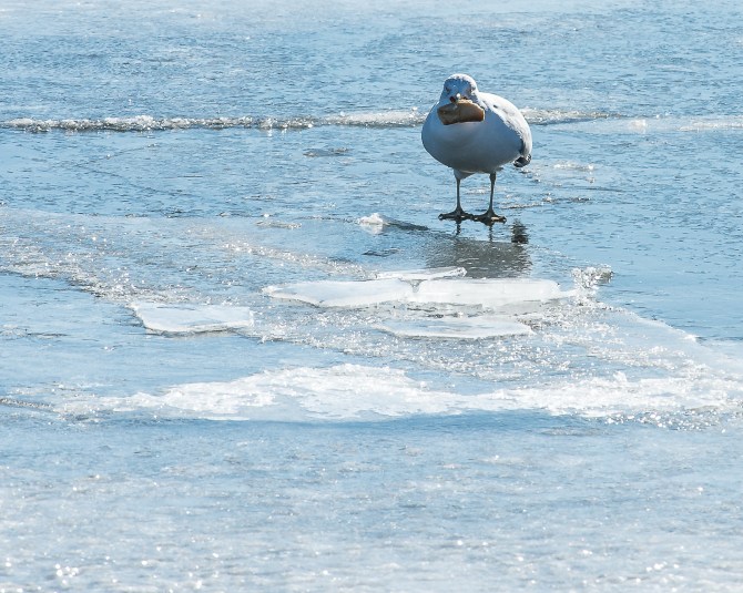 Boat Ramp Croton 2014-5