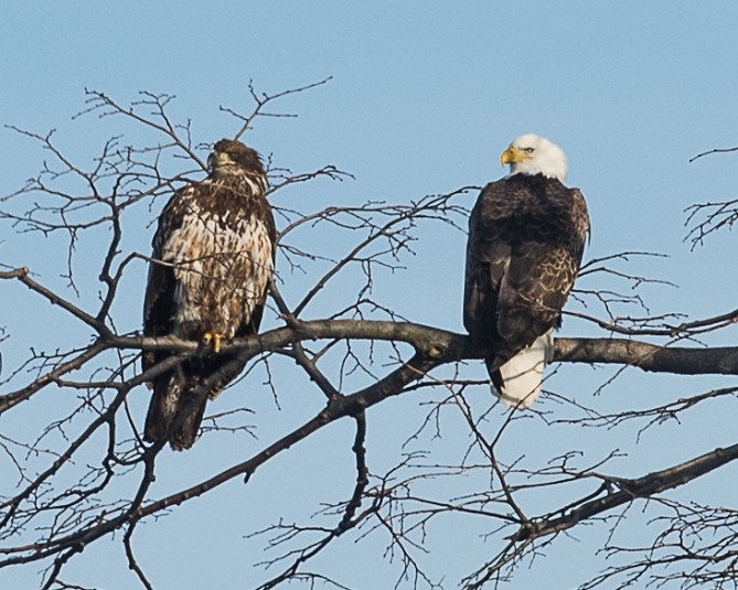 Croton Nature Center welcoming committee