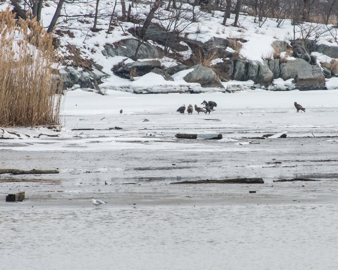 Croton Boat Ramp lunch meeting