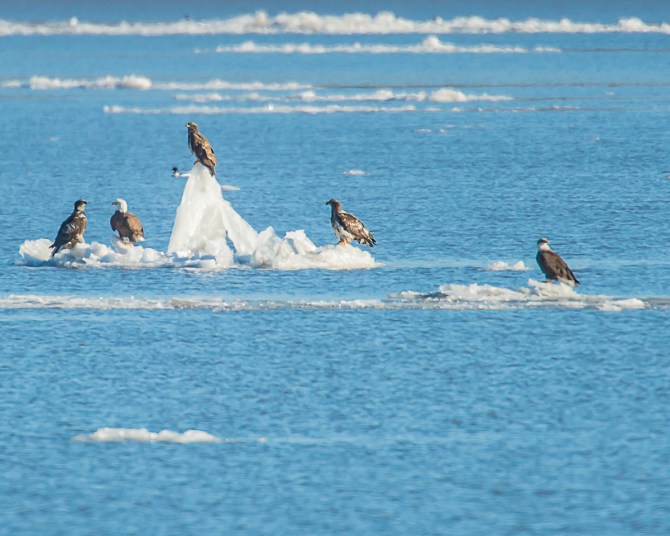 Lots of changes in the light on the river
