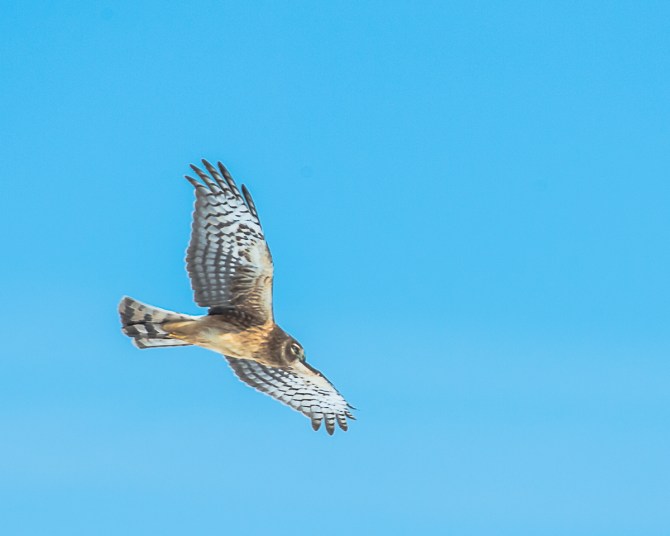 Do you guys need a picture or something?