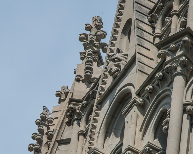 Fledglings June exports 2014-6