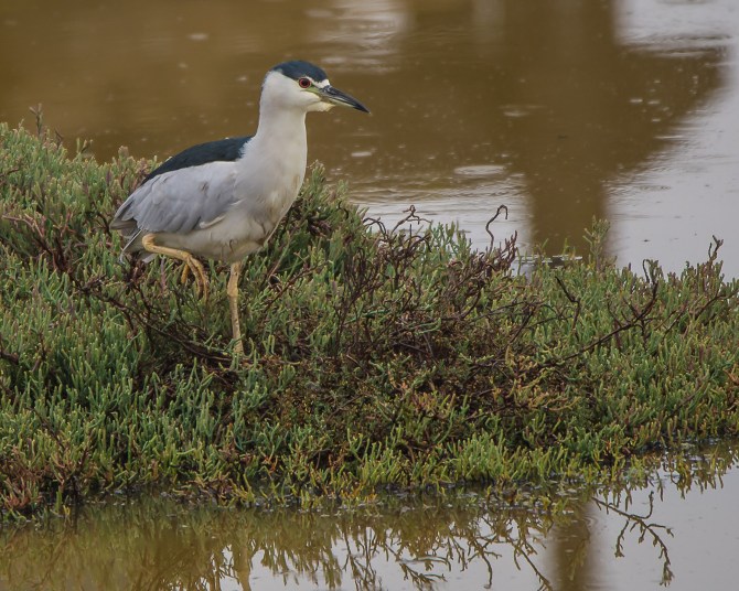 San Jose Sept 2014-1