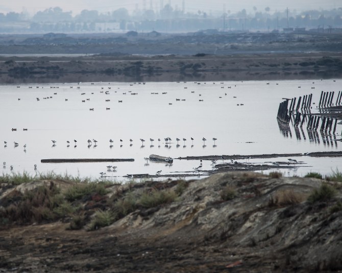 San Jose Sept 2014-11