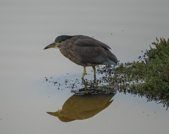 San Jose Sept 2014-2