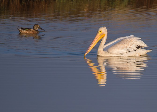 San Jose Sept 2014-5