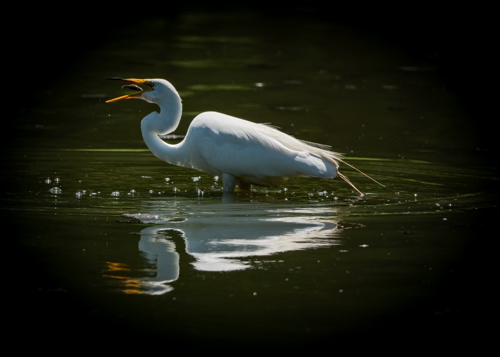 What HAVE You Been&nbsp;Doing?