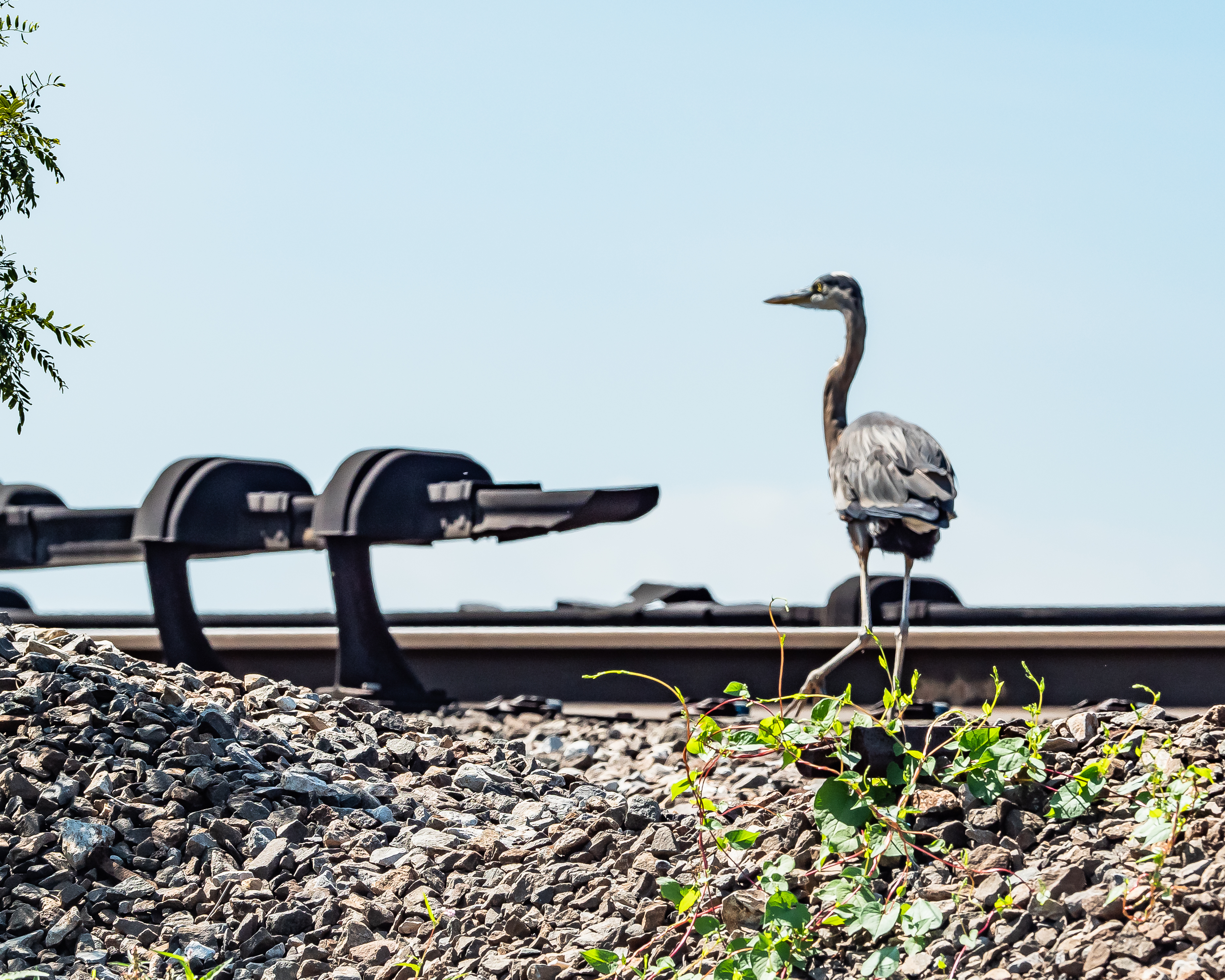 20190830 Croton River with Craven _-5