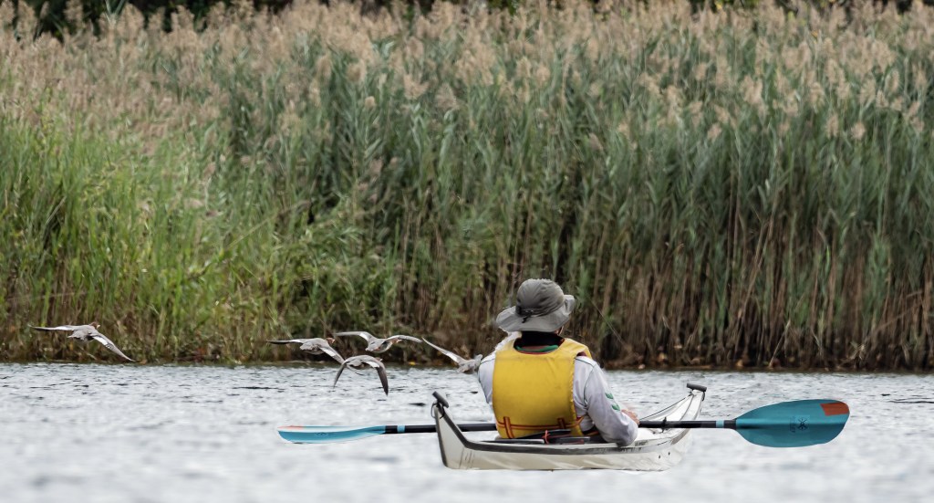 Kayaking on the Croton&nbsp;River